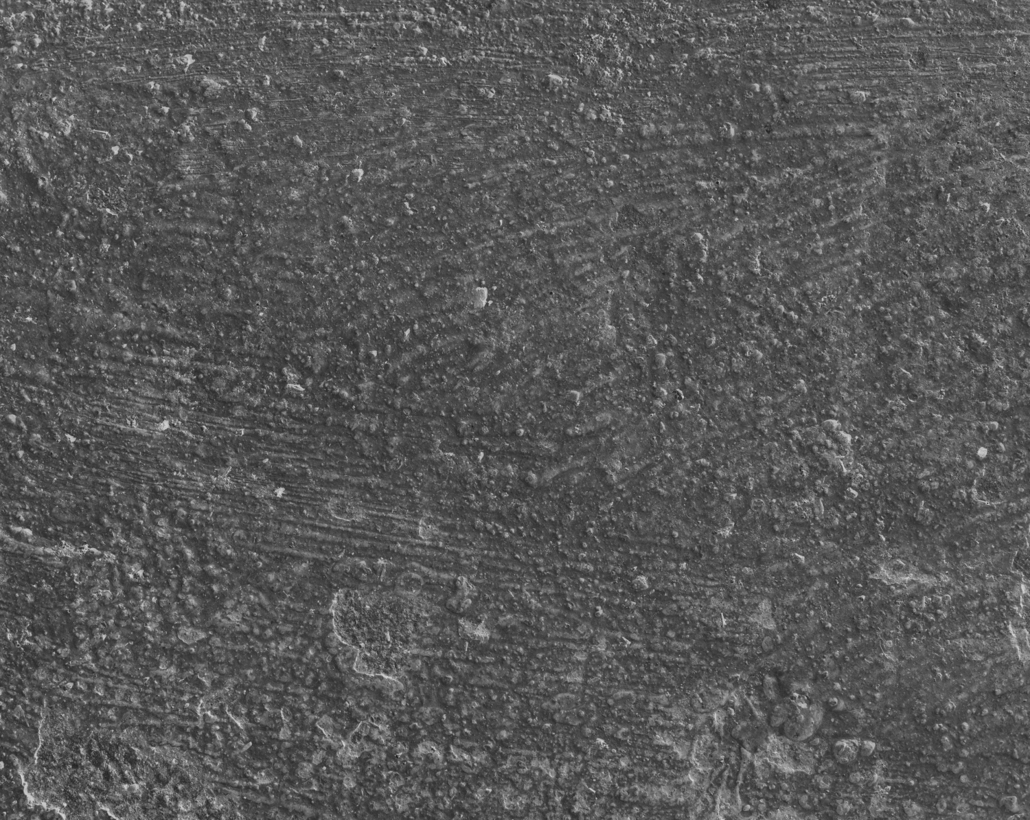Convert Commercial Space with Stone Finish Texture